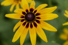 P1006853