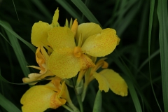 P1006879