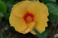 P1006891