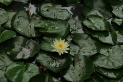 P1006979