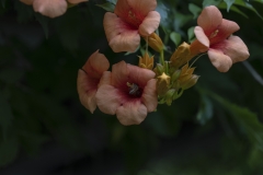 P1000774