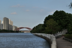 P1008599