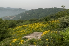 P1006612