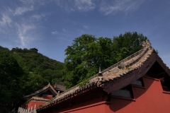 P1006687
