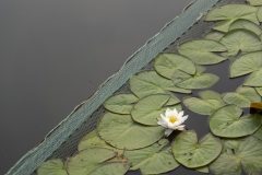 P1006732