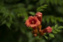 P1006764
