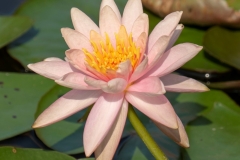 P1008821