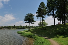 P1008528