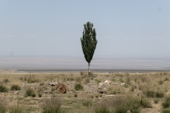 1_P1008012
