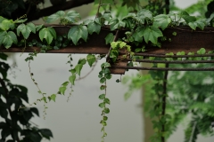 P1007359