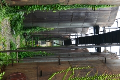 P1007376