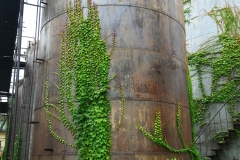 P1007377