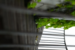 P1007382