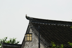 P1007392